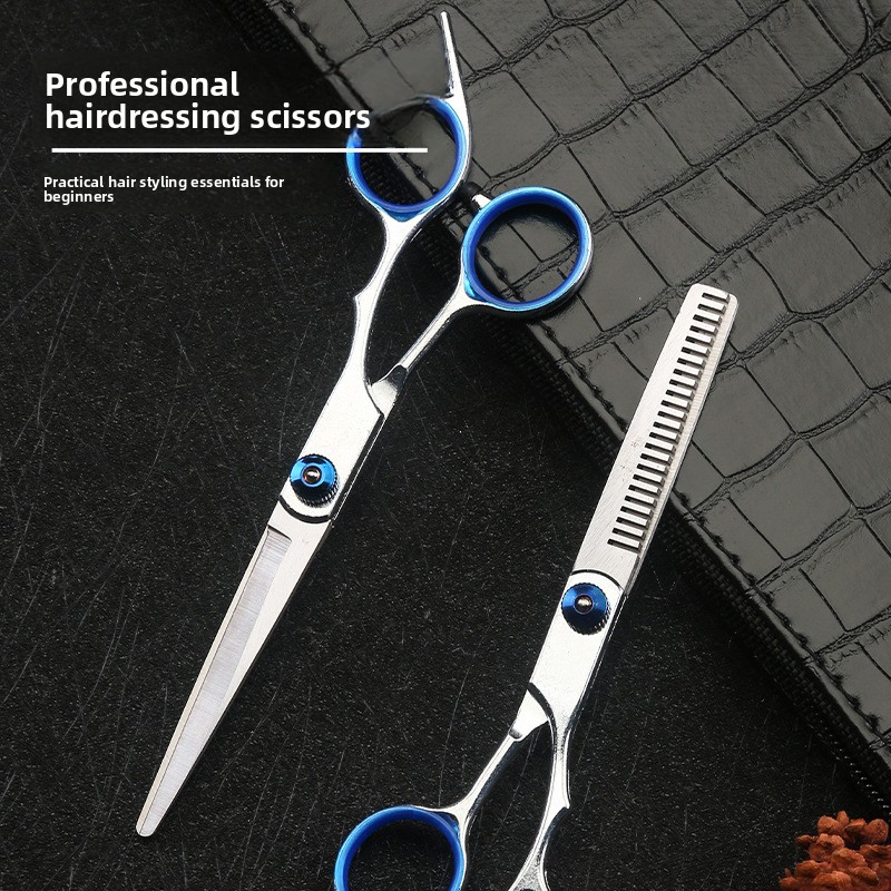 Hair Cutting Scissors Shears Set 6 Inch - Afneembare Haarknipschaarset, Kappersschaar & Uitdunschaar, Salon