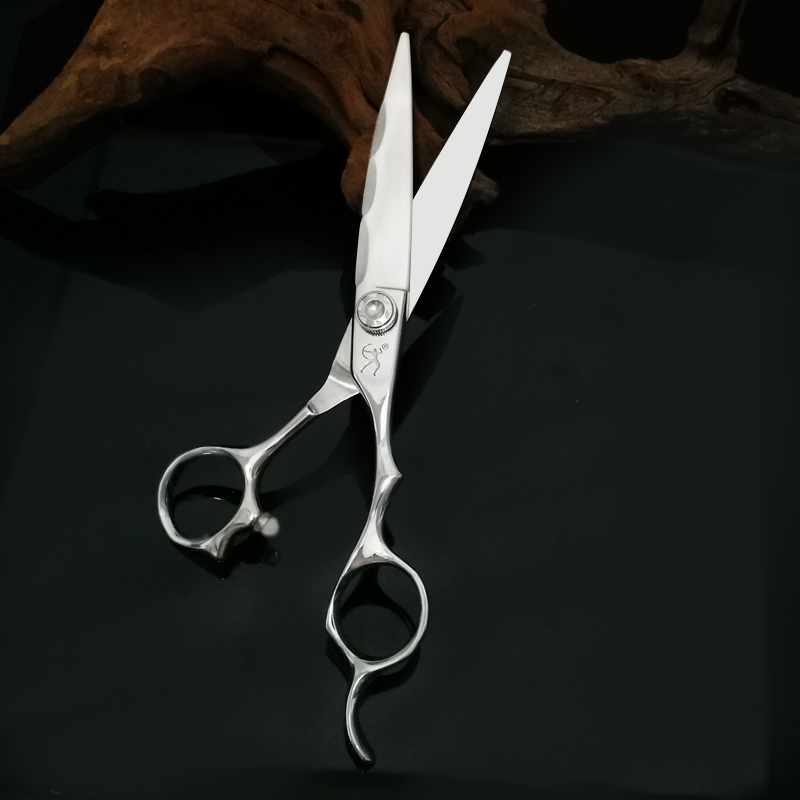 TITAN Japan Originele Professi - Hair Cutting Scissors Shears Set 6 Inch recensie en prijs
