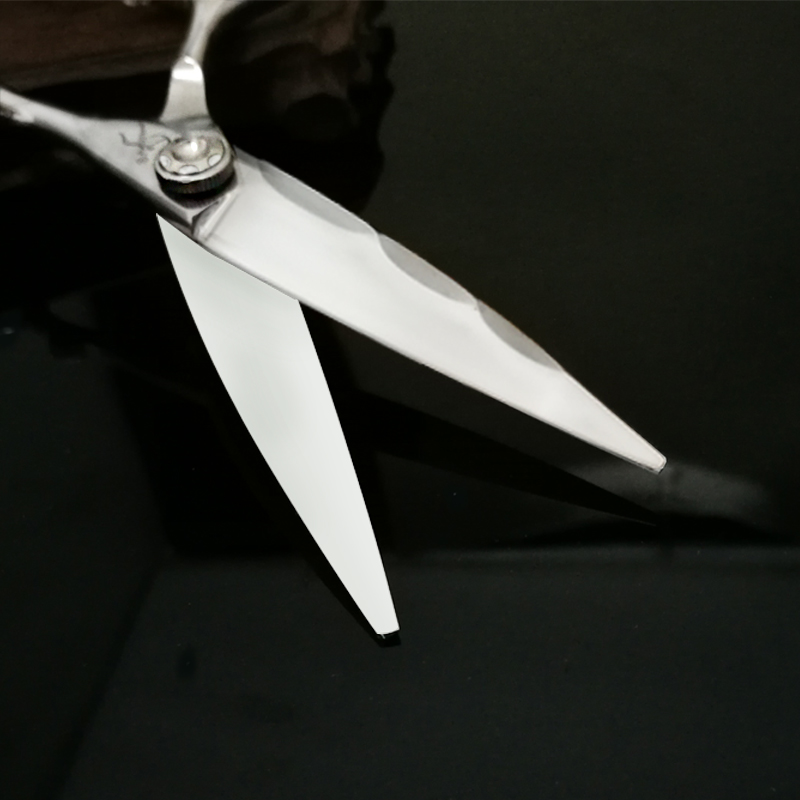 TITAN Japan Originele Professi - Hair Cutting Scissors Shears Set 6 Inch recensie en prijs