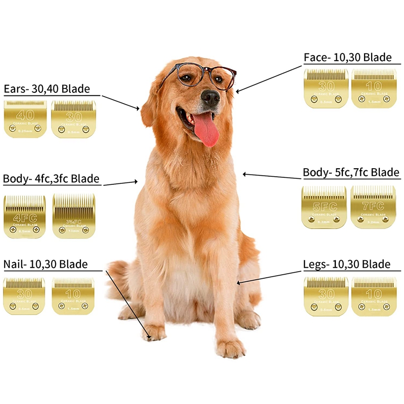 Vervanging afneembare hond ton - Hair Clipper Ceramic Blade Replacement recensie en prijs
