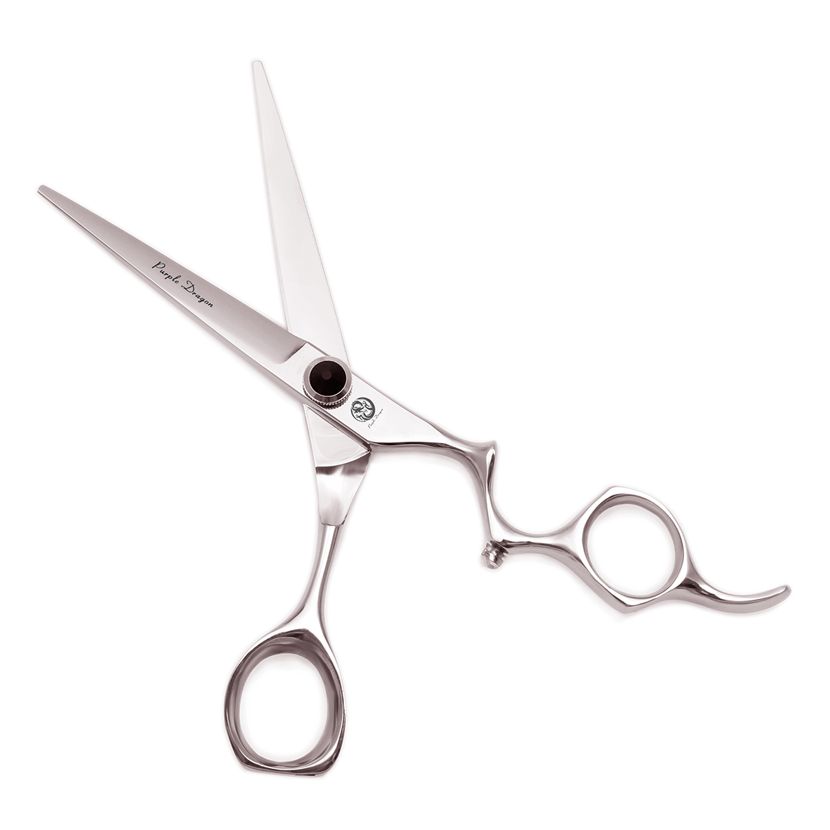 Haar Schaar Professionele Paar - Hair Cutting Scissors Shears Set 6 Inch recensie en prijs